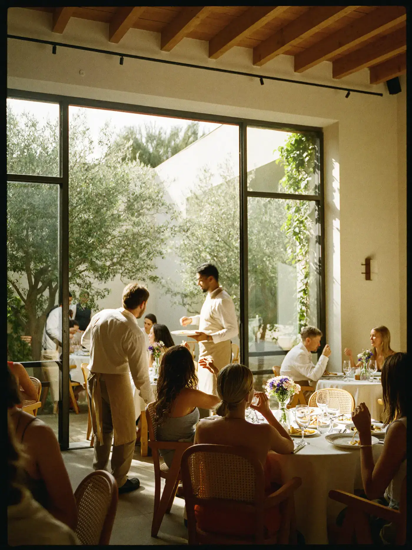 Sunlit dining room with olive trees through the window